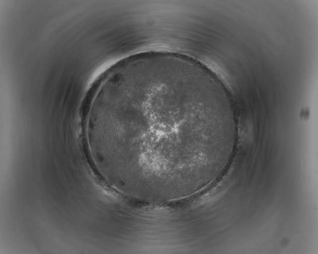 X0000091551070200708171301