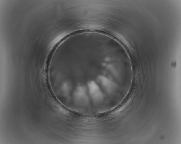 X0000091551071200708171301