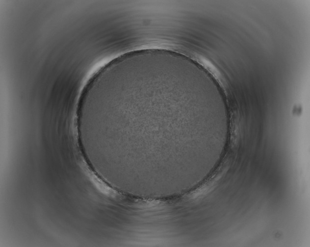X0000091551072200708171301