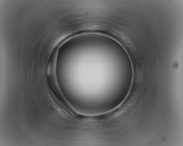 X0000091551073200708171301