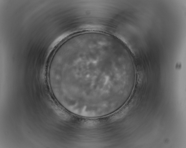 X0000091551074200708171301