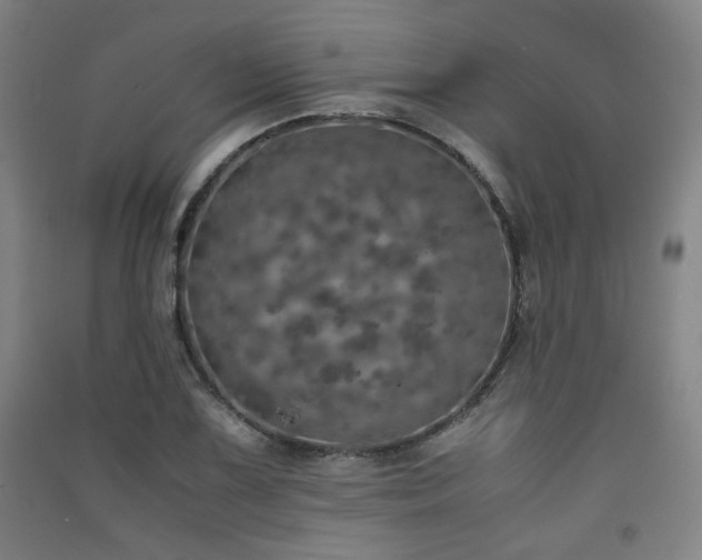 X0000091551075200708171301