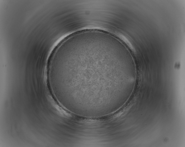 X0000091551076200708171301