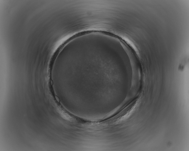X0000091551077200708171301