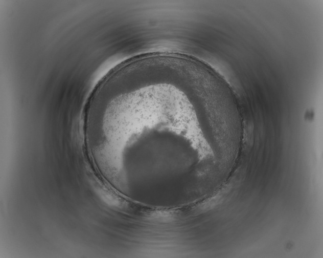 X0000091551078200708171301