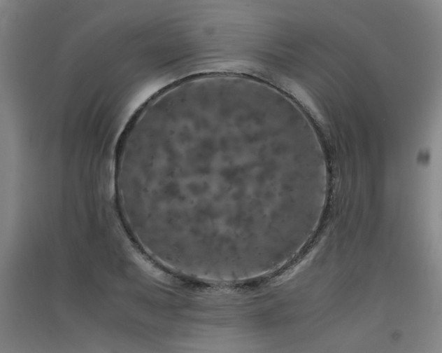 X0000091551079200708171301