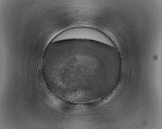 X0000091551081200708171301