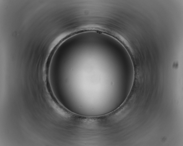X0000091551082200708171301