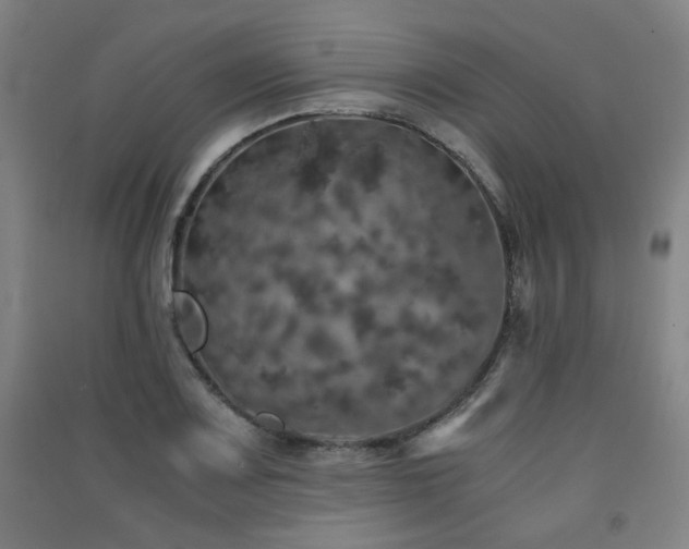 X0000091551083200708171301