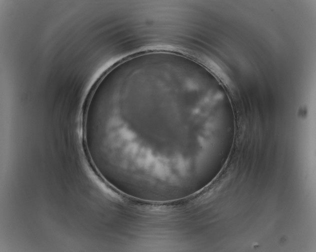 X0000091551084200708171301
