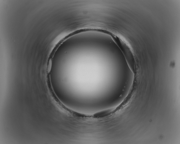 X0000091551085200708171301