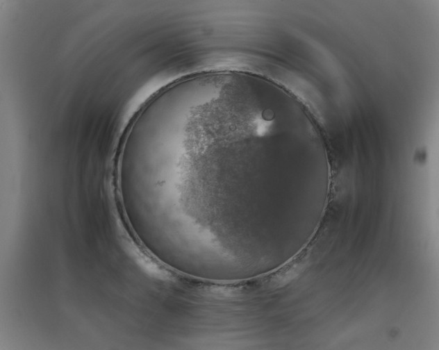 X0000091551086200708171301