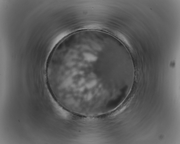 X0000091551087200708171301