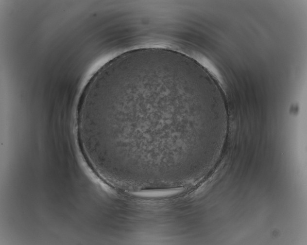 X0000091551088200708171301