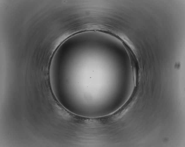 X0000091551089200708171301