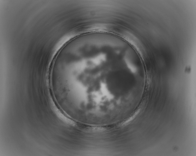 X0000091551090200708171301