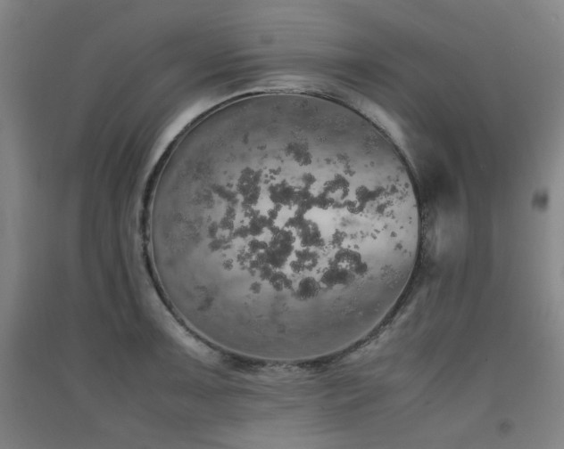 X0000091551091200708171301