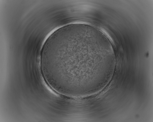 X0000091551092200708171301