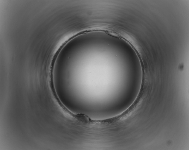 X0000091551093200708171301