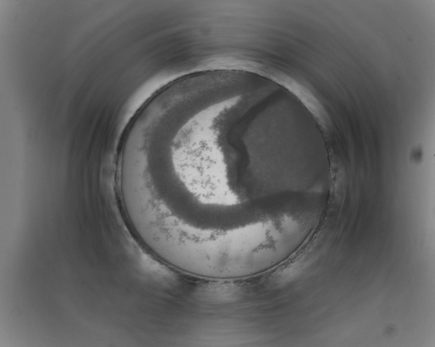 X0000091551094200708171301