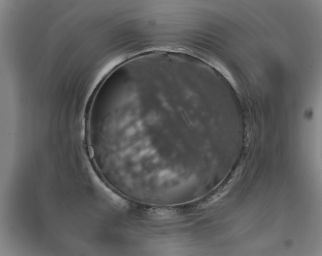 X0000091551095200708171301