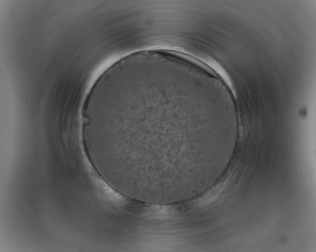 X0000091551096200708171301
