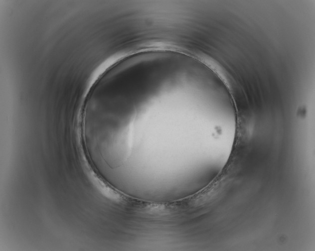 X0000091551098200708171301