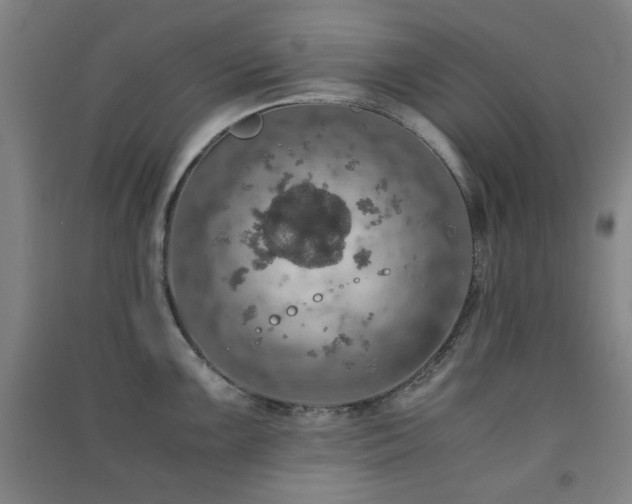 X0000091551099200708171301