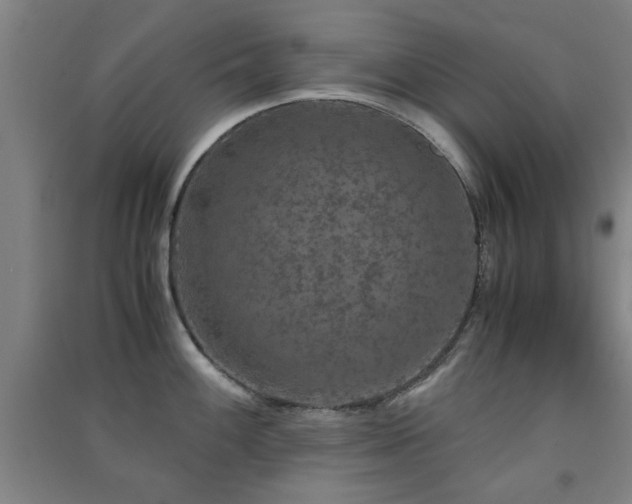 X0000091551100200708171301