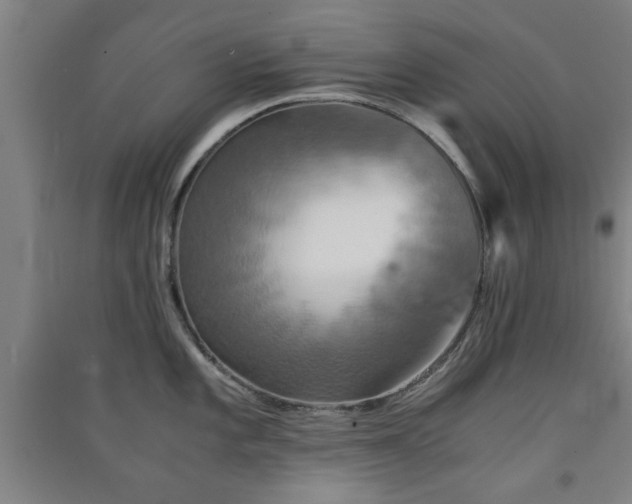 X0000091551101200708171301