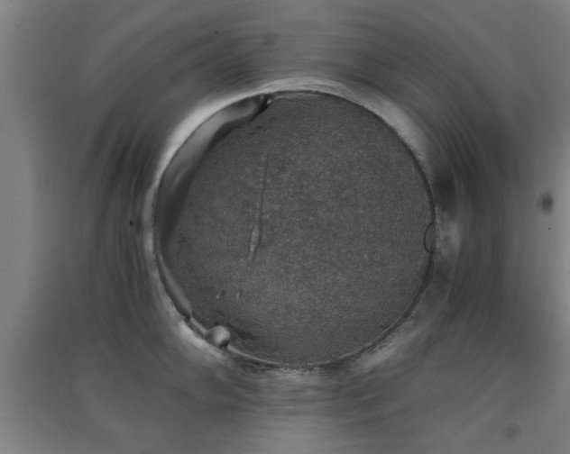 X0000091551102200708171301