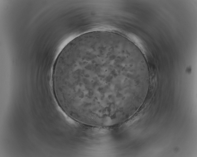 X0000091551103200708171301