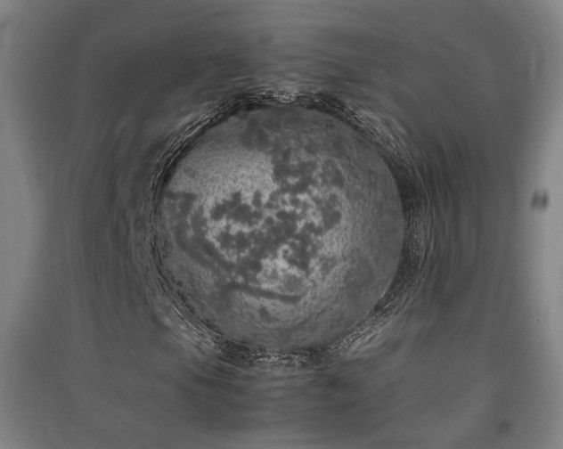 X0000091551105200708171300
