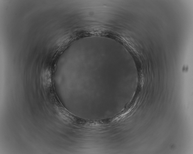 X0000091551106200708171300