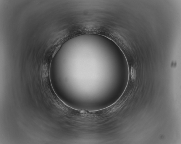 X0000091551107200708171300
