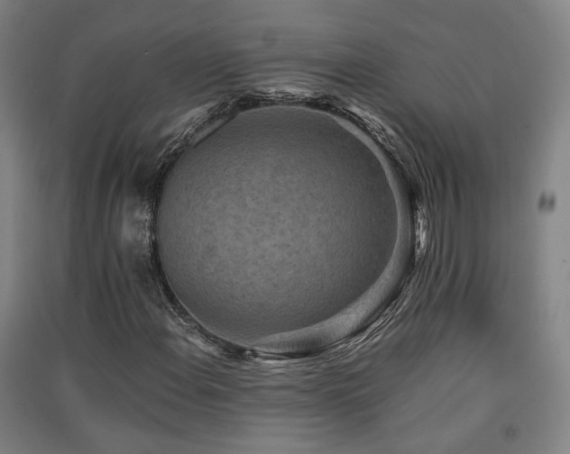 X0000091551108200708171300