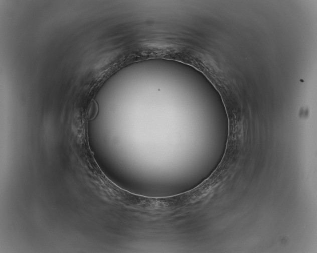 X0000091551109200708171300