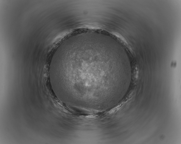 X0000091551110200708171300