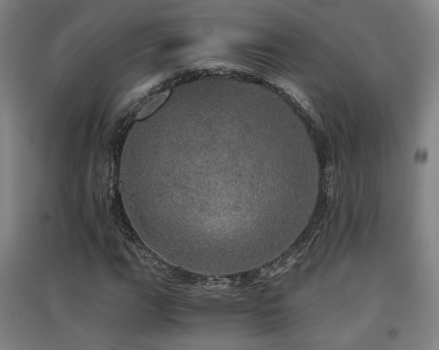 X0000091551111200708171300