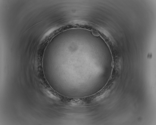 X0000091551112200708171300
