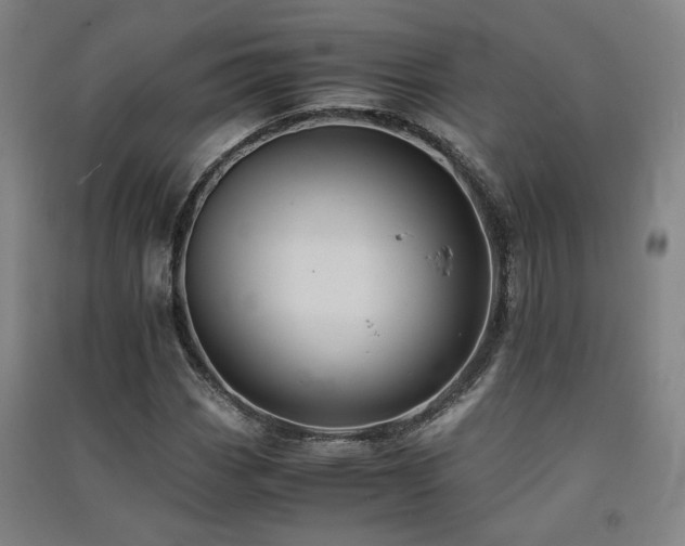 X0000091551113200708171300