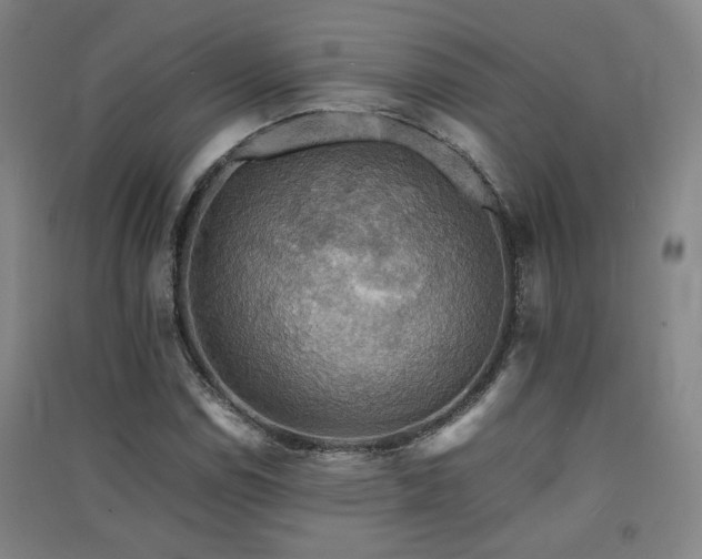 X0000091551114200708171300