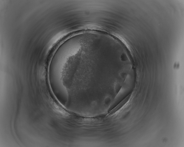 X0000091551115200708171300