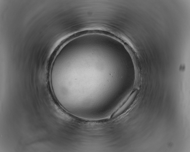X0000091551116200708171300