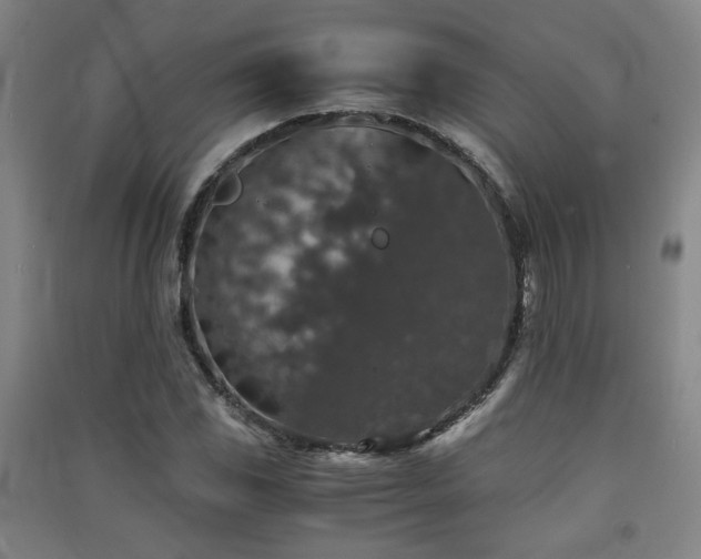 X0000091551117200708171300