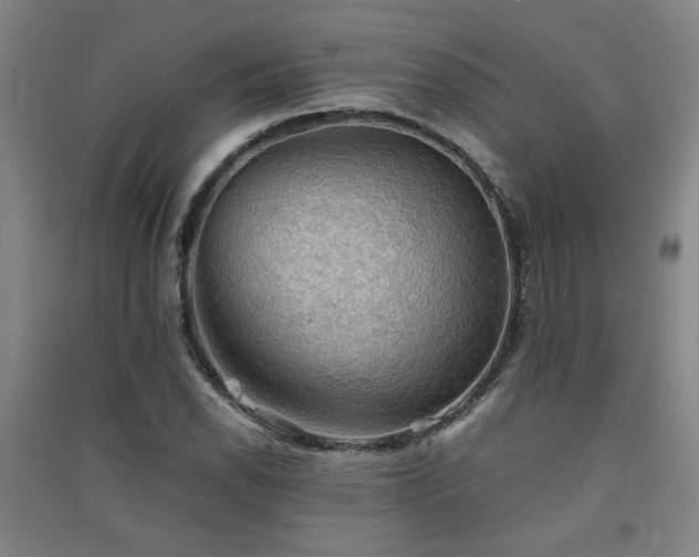 X0000091551118200708171300