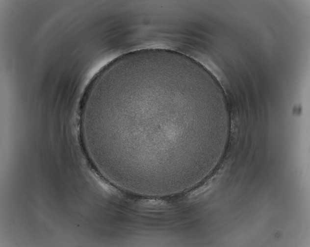 X0000091551119200708171300