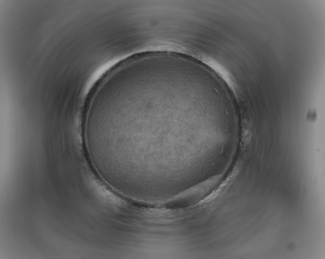 X0000091551120200708171300