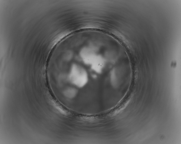 X0000091551121200708171300