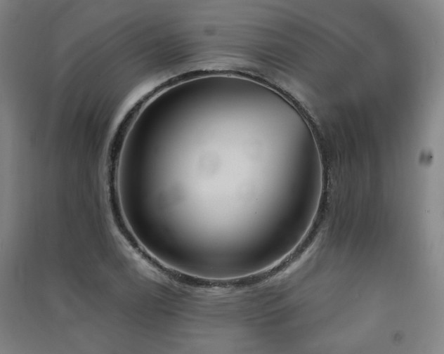 X0000091551122200708171300